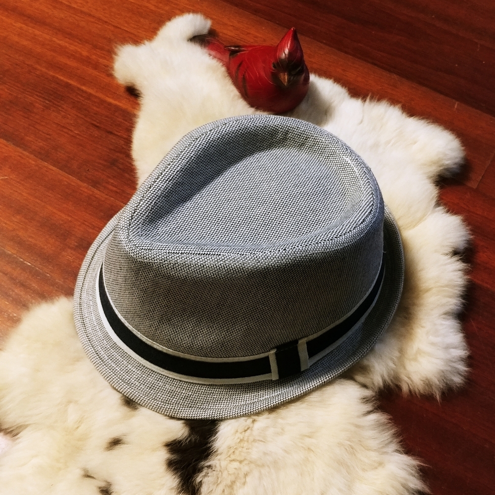 🆕 Blue & White Fedora